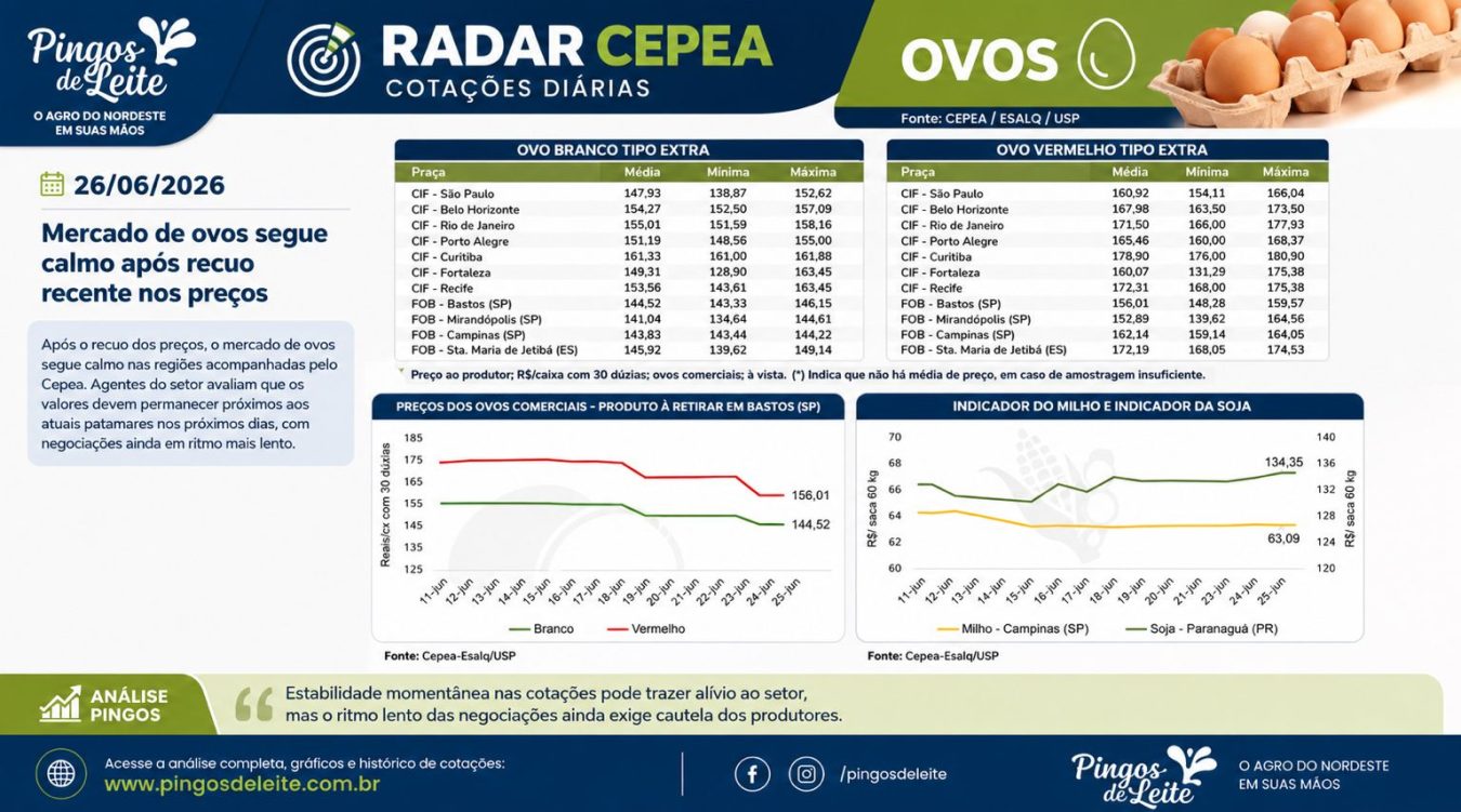Mercado de ovos segue calmo após recuo recente nos preços