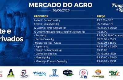 Boletim Mercado do Agro: o produto pioneiro que deu origem ao Pingos de Leite e se tornou referência em informação no setor
