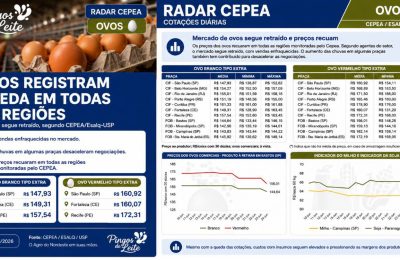 Radar CEPEA: preços dos ovos recuam em todas as regiões monitoradas