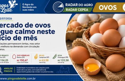 Mercado de ovos segue calmo no início de julho, com expectativa de melhora na demanda