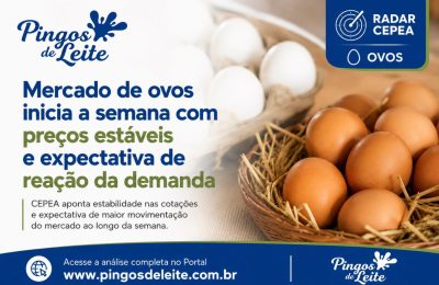 Mercado de ovos inicia a semana com estabilidade e expectativa de retomada da demanda