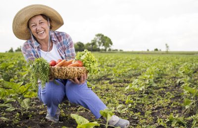 A inclusão social pelo Agro*