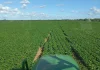 Chapada do Araripe atrai produtores e desponta como nova fronteira para o cultivo de milho e soja