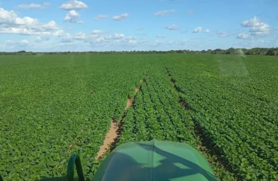 Chapada do Araripe atrai produtores e desponta como nova fronteira para o cultivo de milho e soja