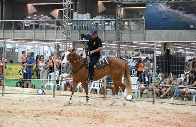 A Agrinordeste começa reunindo campo, conhecimento, inovação e gastronomia