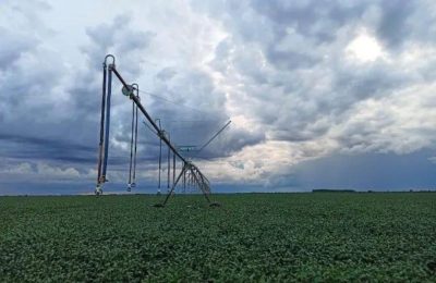Dois municípios da Bahia colocam o Nordeste entre os maiores polos agrícolas do Brasil