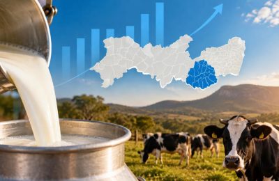 Onde está o leite de Pernambuco? PPM 2025 revela os principais municípios produtores